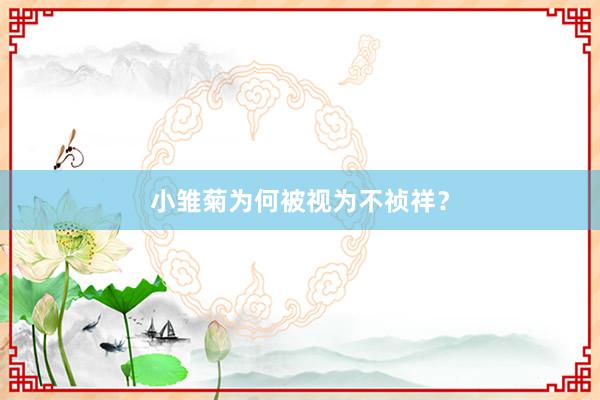 小雏菊为何被视为不祯祥？