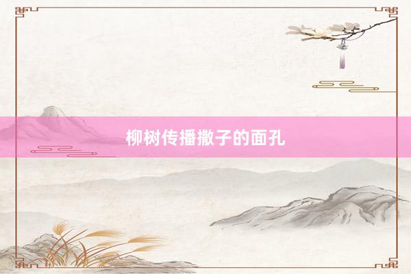 柳树传播撒子的面孔