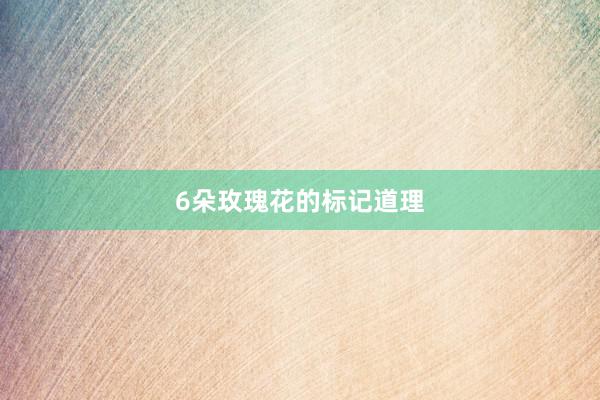 6朵玫瑰花的标记道理