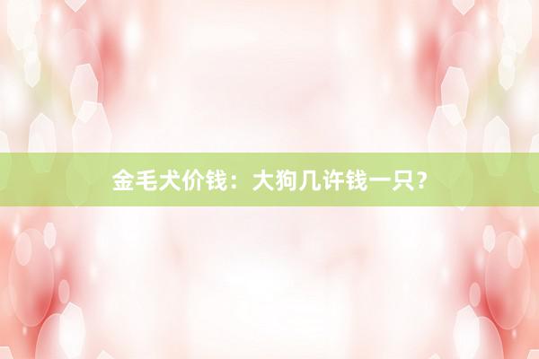金毛犬价钱：大狗几许钱一只？