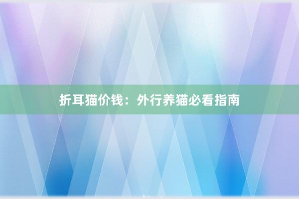 折耳猫价钱：外行养猫必看指南
