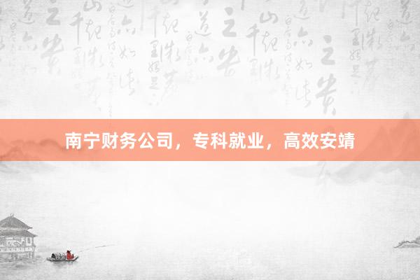 南宁财务公司，专科就业，高效安靖