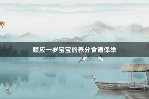 顺应一岁宝宝的养分食谱保举