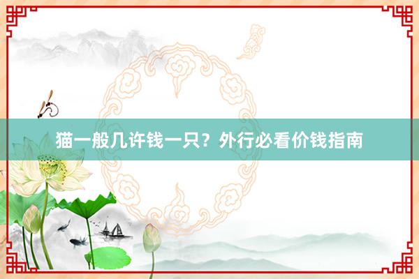 猫一般几许钱一只？外行必看价钱指南